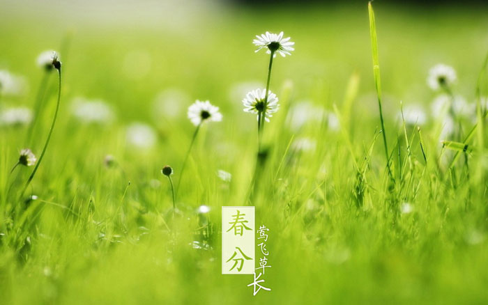 即便是春風(fēng)十里,依然不如你